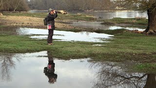 reportage  Denis Chavigny peintre ornithologue [upl. by Gaw]