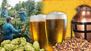 La CERVEZA Elaboración tradicional de esta bebida fermentada  Oficios Perdidos  Documental [upl. by Enomas]