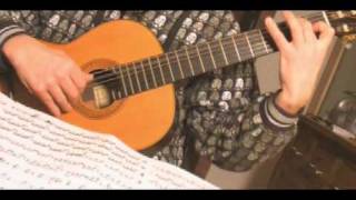 artesguitars plays Flamenco Variation by Sophocles Papas [upl. by Tartan]