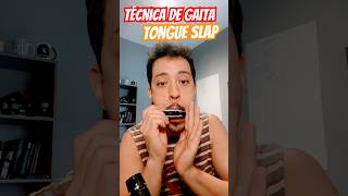 Técnica de Gaita‼️ music gaitadeboca harmonicamusic musica gaitablues gaita harmonica gaitas [upl. by Ynamreg166]