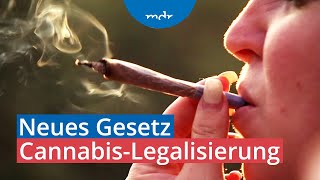 CannabisLegalisierung Justiz müsste alte Strafverfahren aufrollen  MDR THÜRINGEN JOURNAL  MDR [upl. by Nitsew414]