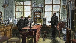 Expériences historiques  1882 Metchnikoff et la phagocytose [upl. by Meeker788]