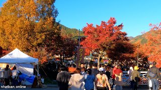 Kawaguchiko Momiji Festival  Japan Walk ExploreJapan [upl. by Dragone934]