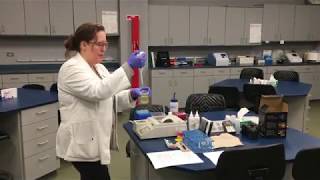 Dilutions procedure for clinical chemistry [upl. by Buiron]