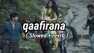 qaafirana  Slowed  revrb  viral songpeeloonreverb trending [upl. by Amihc814]