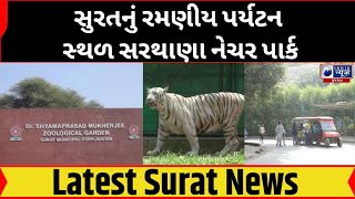 સુરતનું રમણીય પર્યટન સ્થળ Sarthana Nature Park  India News Gujarat [upl. by Elleinnod]