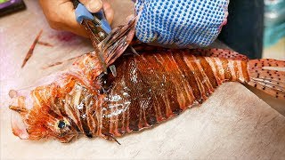 Japanese Street Food  LIONFISH Most VENOMOUS Fish in the World [upl. by Bertolde]