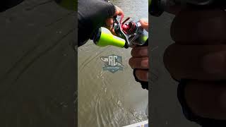 Tolong tangan saya sakit toman redahcaster shorts fyp viralvideo shimano daiwa [upl. by Herb]