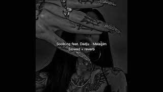 Soolking feat Dadju  Meleğim slowed  reverb [upl. by Ateloj]