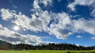 20240324 Angwin timelapse 2 [upl. by Latisha]