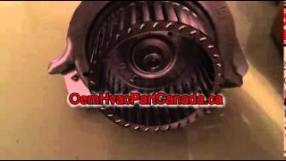 Genuine Carrier Inducer Motor Assembly 326628762 [upl. by Ahsertal675]