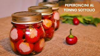 PEPERONCINI TONDI AL TONNO SOTTOLIO  CONSERVA PICCANTE  RICETTA CONSERVA FACILE [upl. by Primaveras]