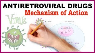 Antiretroviral Drugs Pharmacology  Mechanism of Action [upl. by Vinnie987]