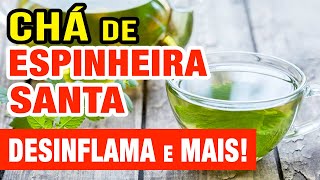 Chá para Inflamação Estômago Intestino Gases Benefícios da Espinheira Santa [upl. by Areikahs]