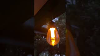 3in1 Colour Switch Festoon Drop Lights by Lytworx [upl. by Oler931]