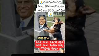 Miss you Ratan Tata sirdog Emotional viral short [upl. by Supen]