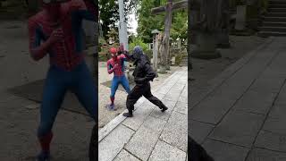 Spidaman vs Spider Ninja Ultimate Battle [upl. by Jammal304]