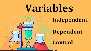 Identify Variables in a Scientific Investigation [upl. by Jallier624]