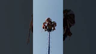 Voladores de Papantla Veracruz en Xochimilco CDMX [upl. by Herm]