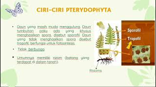 DIVISI PTERIDOPHYTA [upl. by Sitoiganap]