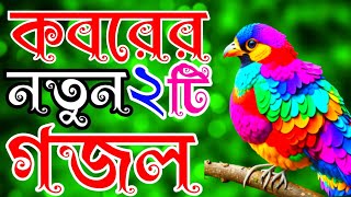 খুবই দুঃখের কবরের আযাবের কথা স্মরণ করা ২টি গজল Koborer best gojol [upl. by Orecic277]