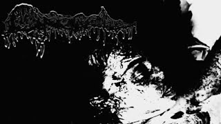 Cystocele  Self Titled Goregrind [upl. by Creighton]