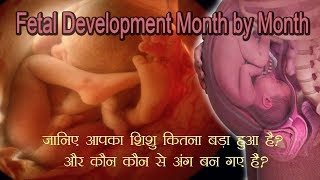 Month by Month Baby Development हरेक महीने आपका शिशु ऐसे बढ़ता है [upl. by Andree153]