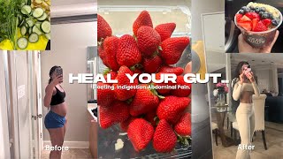 HOW I HEALED MY GUT  Bloating IBS Indigestion amp how healing your gut can change your life [upl. by Ingram]