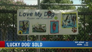 Former Lucky Dog daycare under new ownership changes already coming [upl. by Moor]