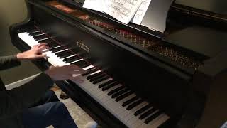 Godowsky Passacaglia variation 43 slow [upl. by Kacey883]