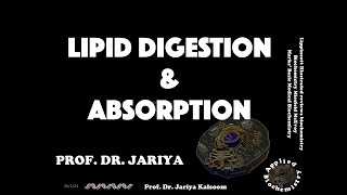 LIPID DIGESTION amp ABSORPTION [upl. by Eilatam]