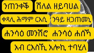 ናዓይ ዘጋጠመኒ ዘሰምብድ መንሽሮዶ ሐሰኻ አብ ርእሰይ 🇪🇷ተጠንቀቑ ቀጻሊ ሕማም ርእሲ ተቀላጢፍና ንፈዉሶ Brain cancer  worm in brain [upl. by Mcgraw]