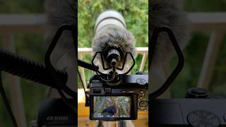 Range test of Sony G lens 200  600mm with JBL shotgun mic [upl. by Heinrich]