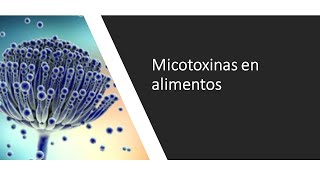 Micotoxinas en alimentos [upl. by Atnuahsal987]