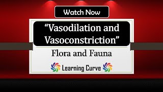 Vasodilation and Vasoconstriction Thermoregulation  Biology  GCSE  In Hindi  Explained [upl. by Fritz]