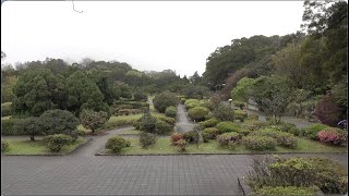 Yangmingshan National Park  陽明山國家公園 Taipei  Taïwan [upl. by Kancler821]