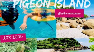 Pigeon island  Snorkeling  Trincomalee  Sri lanka  srilanka travel [upl. by Rekoob]