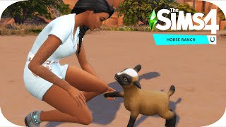 Ranch Animal Day  The Sims 4 Horse Ranch  11 [upl. by Procora]