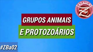 GRUPOS ANIMAIS E PROTOZOÁRIOS [upl. by Peirce]