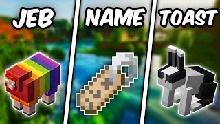 Minecraft Secret Names That Change Everything [upl. by Norty714]