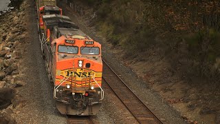 BNSF Warbonnet and Six Trains  Trains At Carkeek Park [upl. by Accber967]