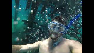 snorkeling Eilat Dec 22 part 12 [upl. by Lizbeth]