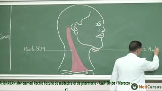 La vascularisation Lymphatique  Partie 1  Pr GHAILAN Med Rachid fac de médecine oujda [upl. by Soigroeg]