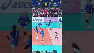 WHAT A PLAY BY ATENEO 💙 ateneo volleyball shakeyssuperleague haikyuu highlights [upl. by Riatsala]