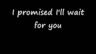 I Promised Myself Basshunter Lyrics [upl. by Gage]