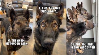 20 Sounds A German Shepherd Makes [upl. by Analra]