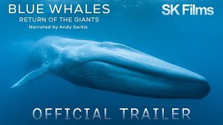 Blue Whales  Return of the Giants  Official Trailer 4K  SK Films [upl. by Tita]