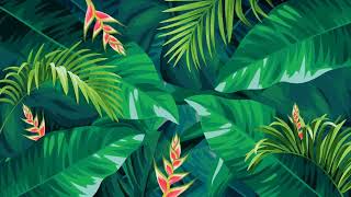 tropical leaves Green Screen  leaf Green screen template transition background copyright free [upl. by Abbub697]