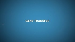 CF Foundation  Gene Transfer [upl. by Azila]