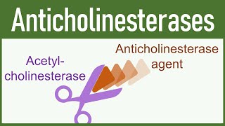 Anticholinesterase Agents Organophosphates amp Carbamates [upl. by Llerehs]